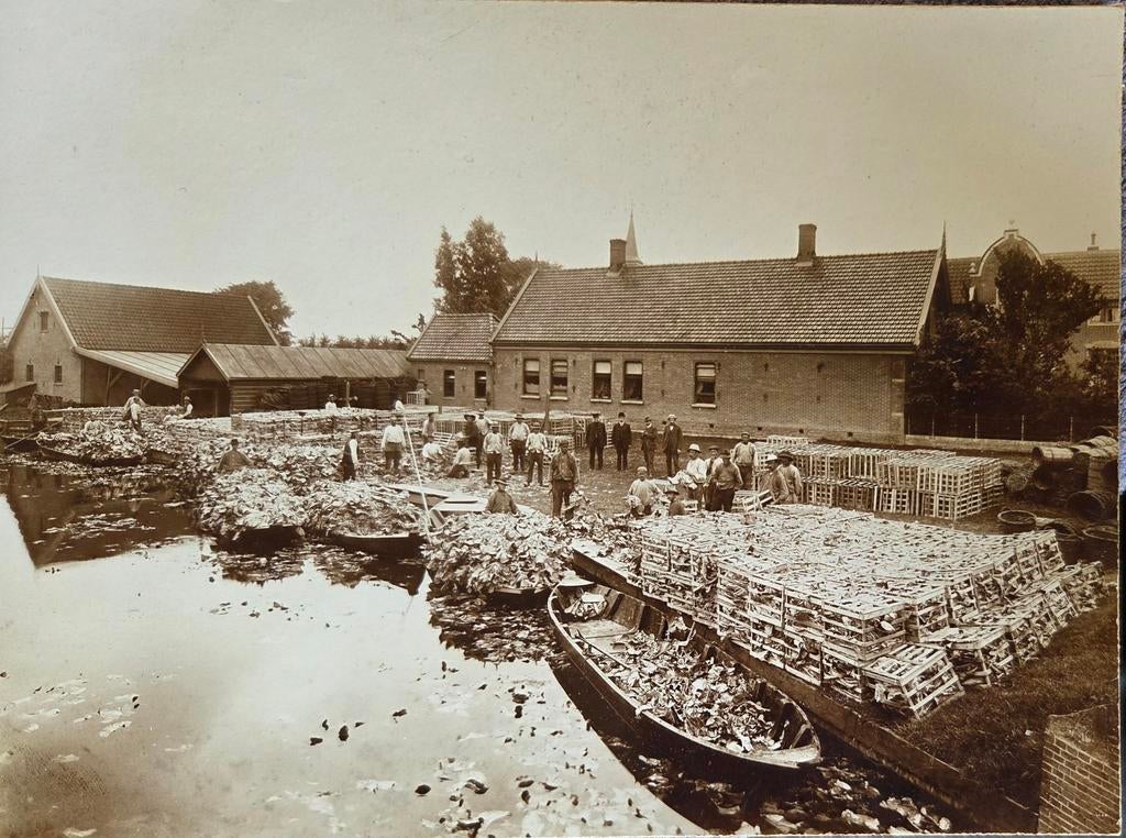 Broek op Langedijk  tabak transport, Verzamelen, Foto's en Prenten, Ophalen of Verzenden, Voor 1940