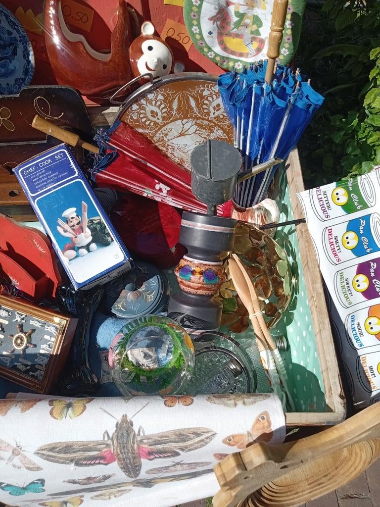 Spullen en planten, Ophalen, Volle zon, Overige soorten, Minder dan 100 cm