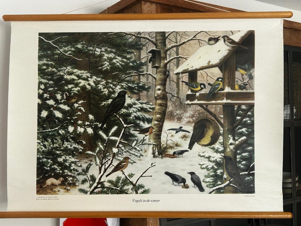 Vogels in de winter, Antiek en Kunst, Antiek | Schoolplaten, Ophalen of Verzenden, Natuur en Biologie