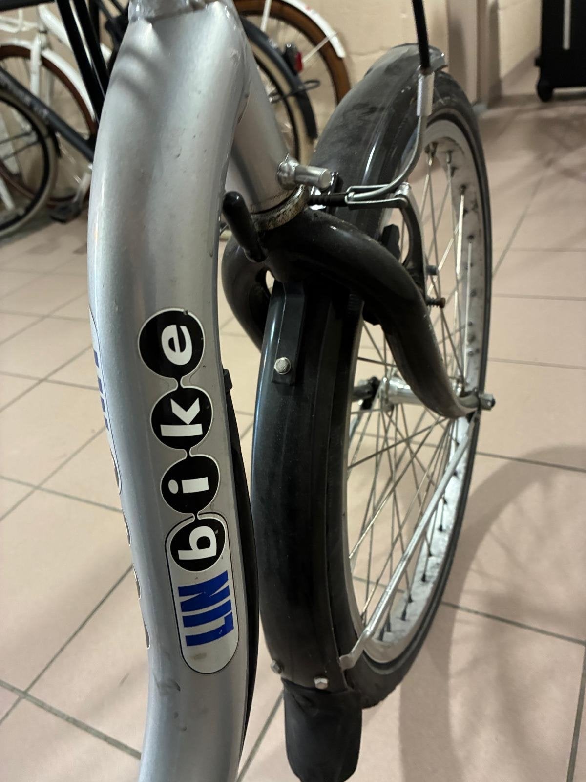 Lin Bike Comfort Lage Instapfiets - Zo goed als nieuw, Terugtraprem, (Extra) lage instap, Zo goed als nieuw, 50 tot 53 cm