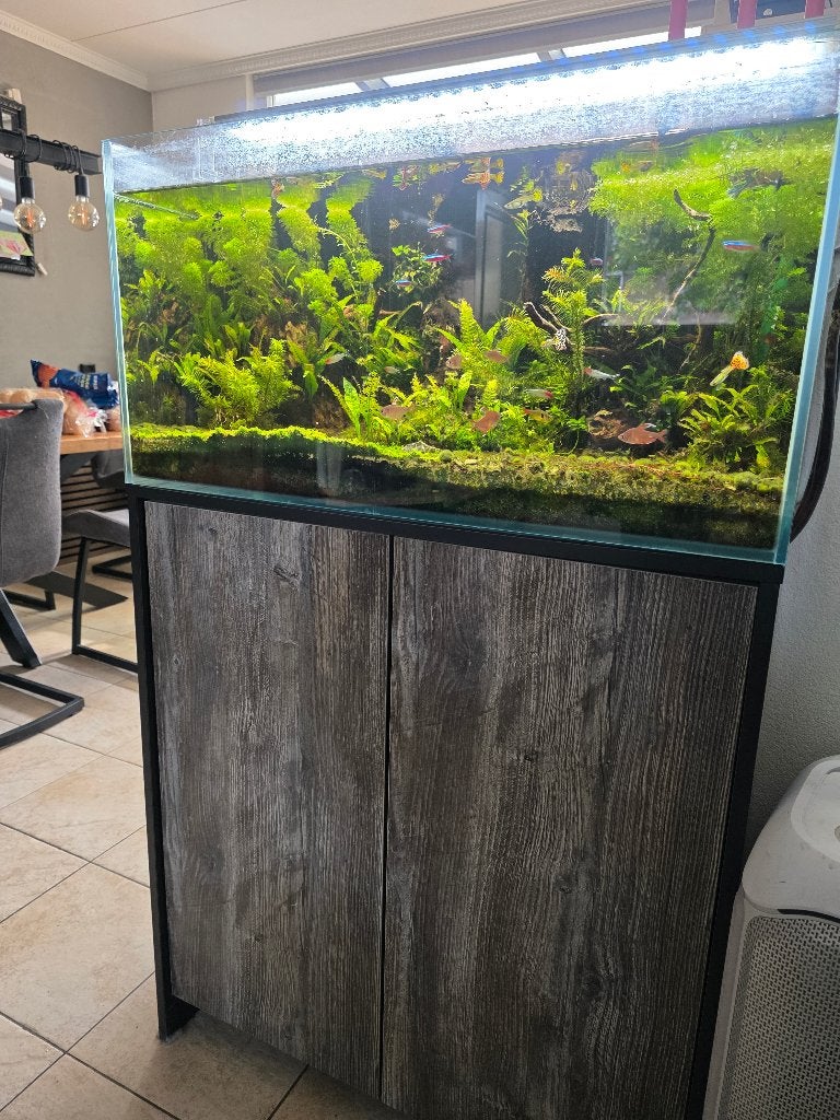 Aquarium superfish scaper 140, Ophalen, Pomp, Superfish, Gevuld zoetwateraquarium