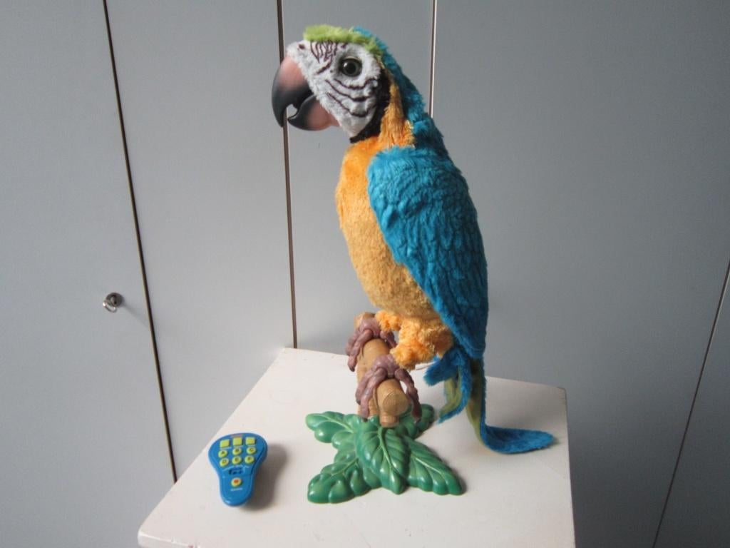 COCO PRATENDE PAPEGAAI FURREAL, Ophalen