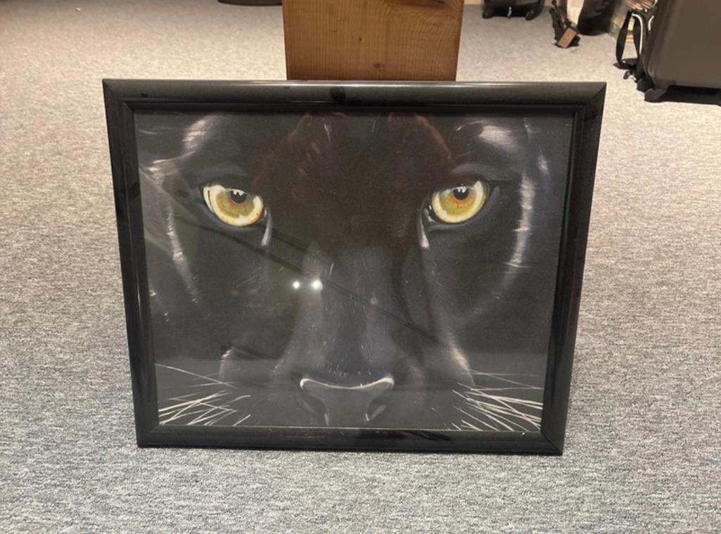 Ingelijste print van zwarte panter - indringende blik, Ophalen of Verzenden, Gebruikt, Print