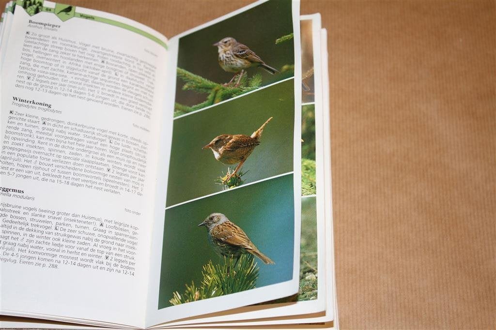 Thieme. De nieuwe dieren- en plantengids voor onderweg., Ophalen of Verzenden, Gelezen, Natuur algemeen