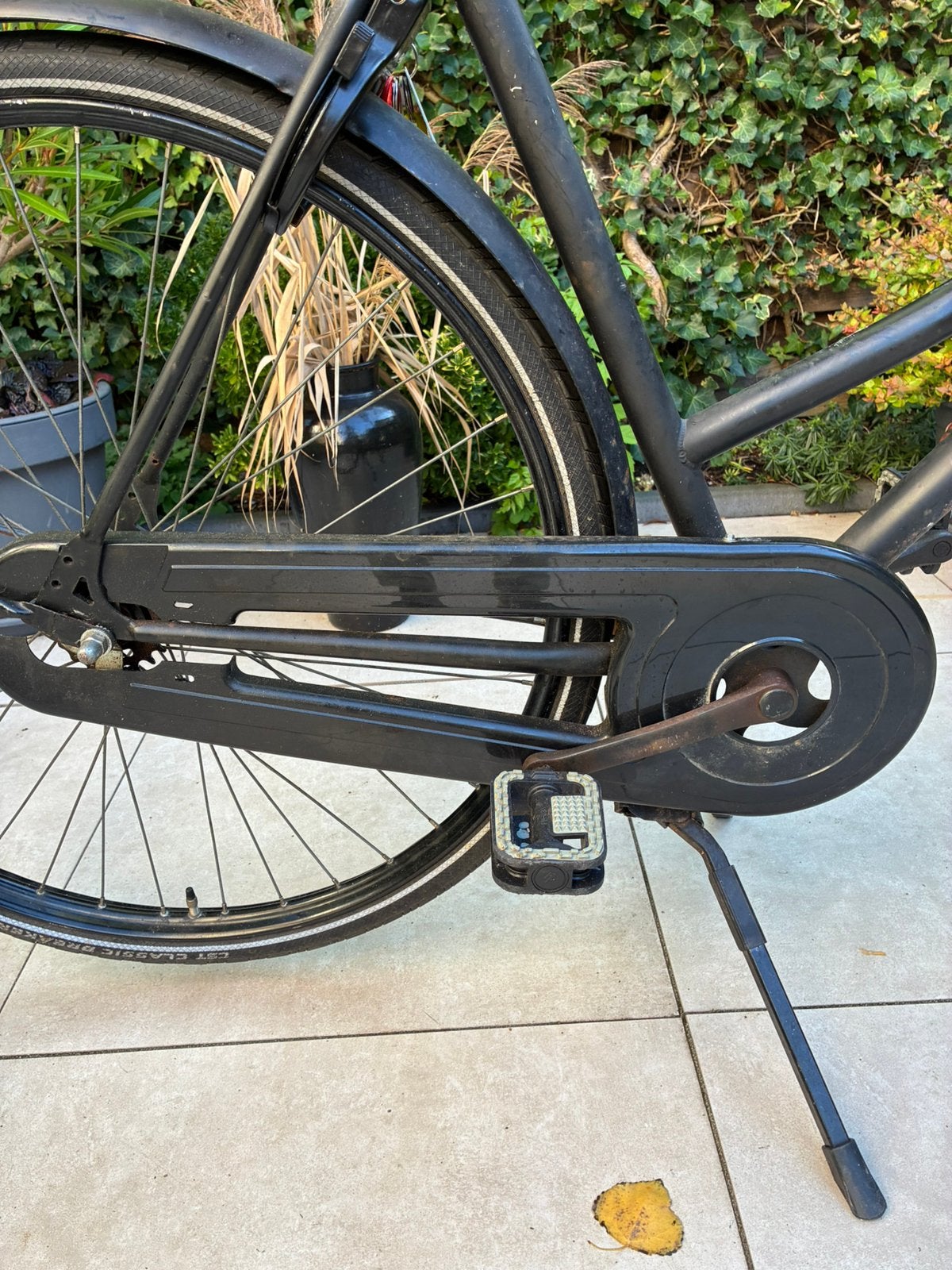 Damesfiets met bakje, Fietsen en Brommers, 55 tot 59 cm, Ophalen, Terugtraprem, Jaren '60 of nieuwer