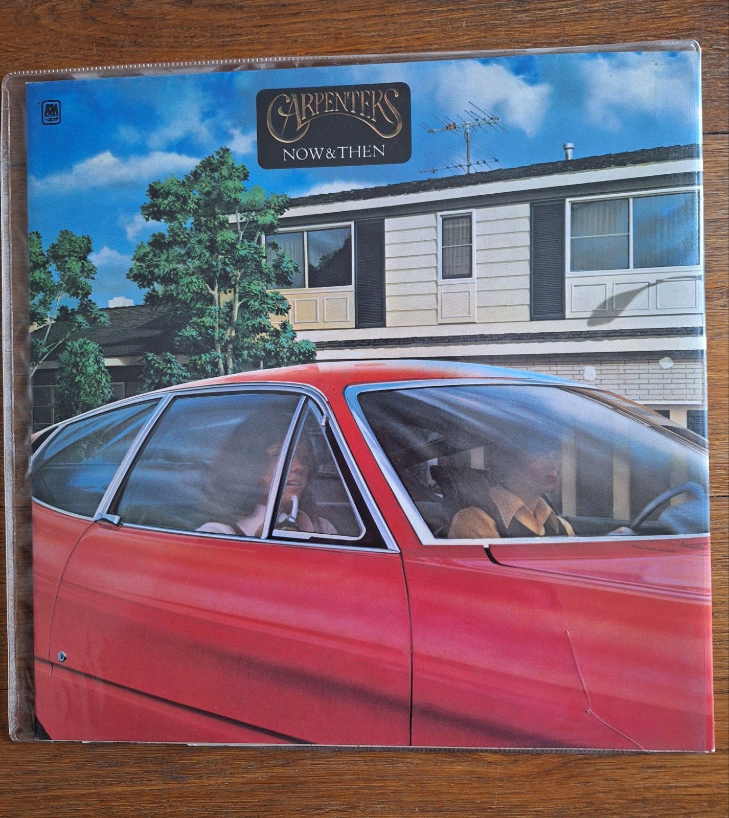 Lp Carpenters, now and then, Ophalen of Verzenden, 12 inch