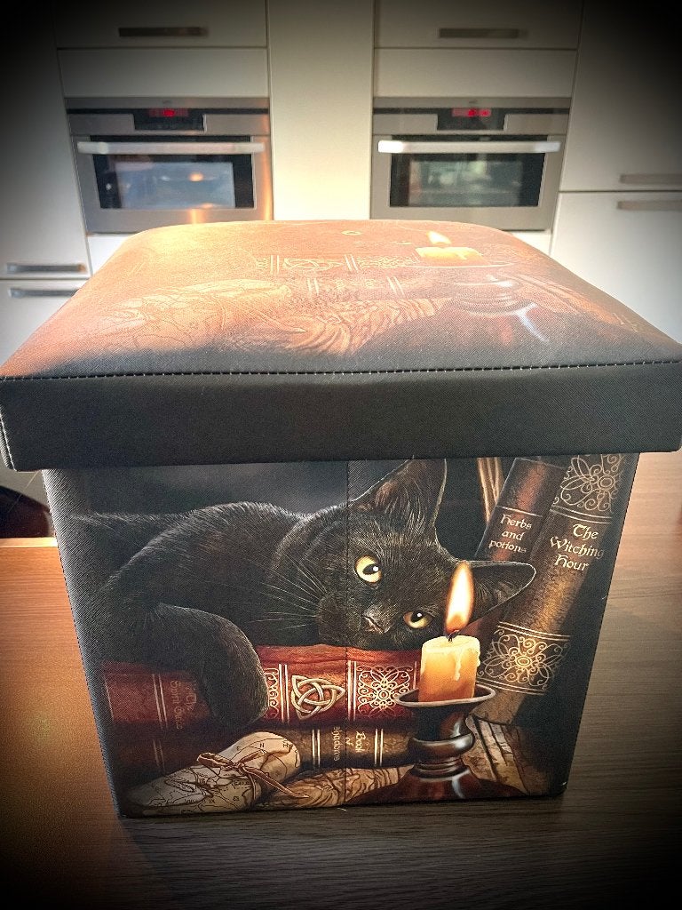 Poef Voetenbank Zwarte kat opberg ruimte wicca gothic doos, Minder dan 50 cm, Verzenden, Vierkant, Minder dan 50 cm