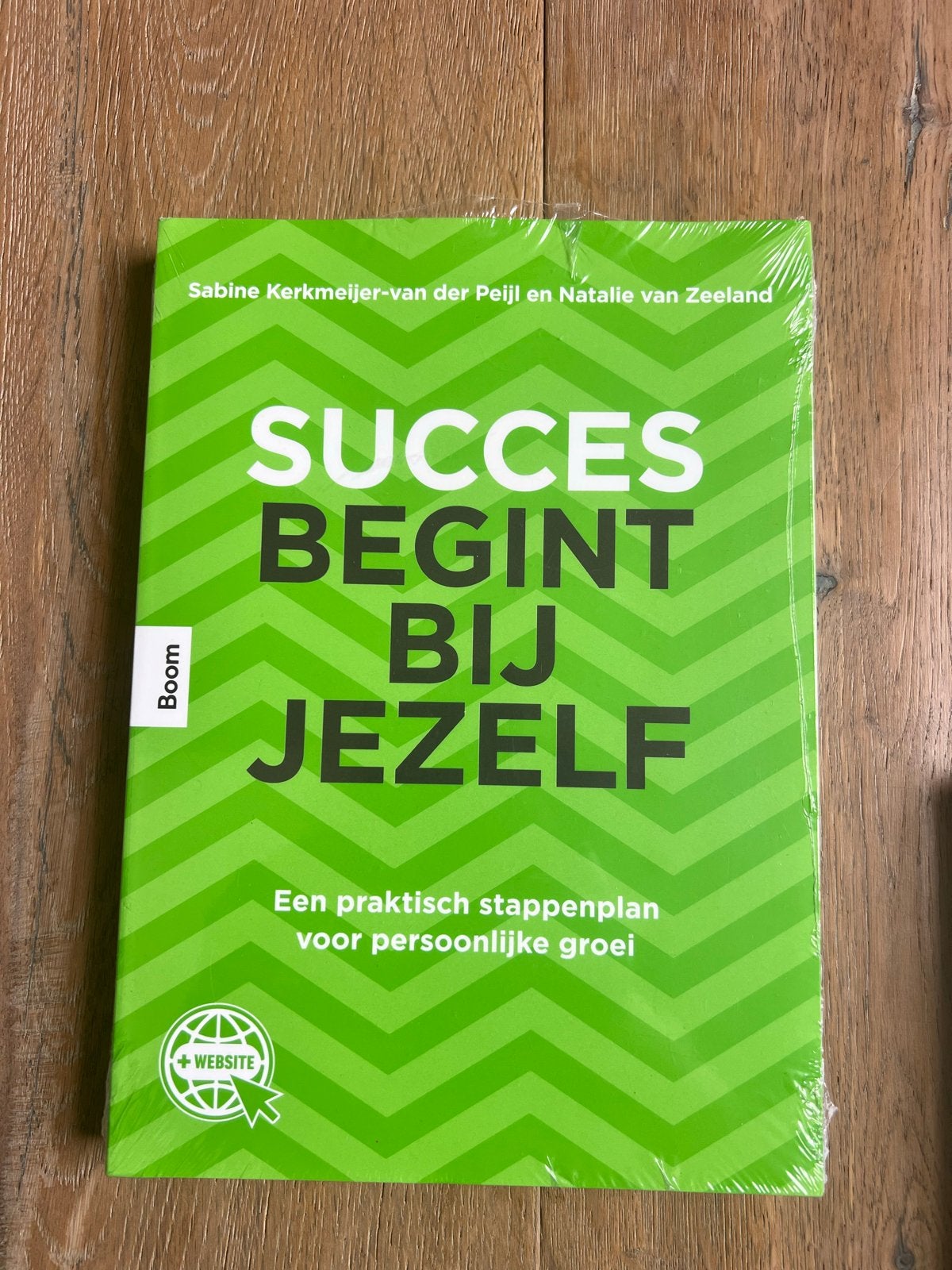 Succes Begint Bij Jezelf - Persoonlijke Groei Boek, Ophalen of Verzenden, Nieuw