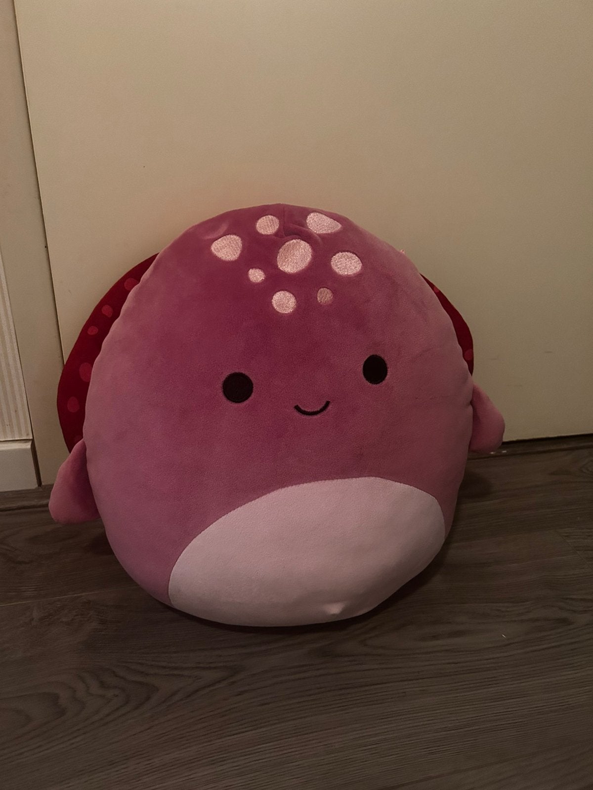 Squishmallow knuffel, Paars, Overige karakters, Overige typen, Ophalen of Verzenden
