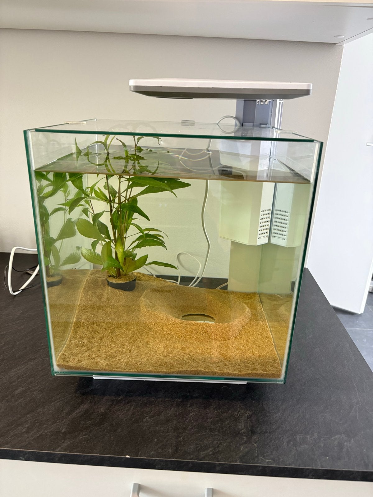 Aquarium met pomp en eventueel zand, Ophalen, Zo goed als nieuw, Leeg aquarium