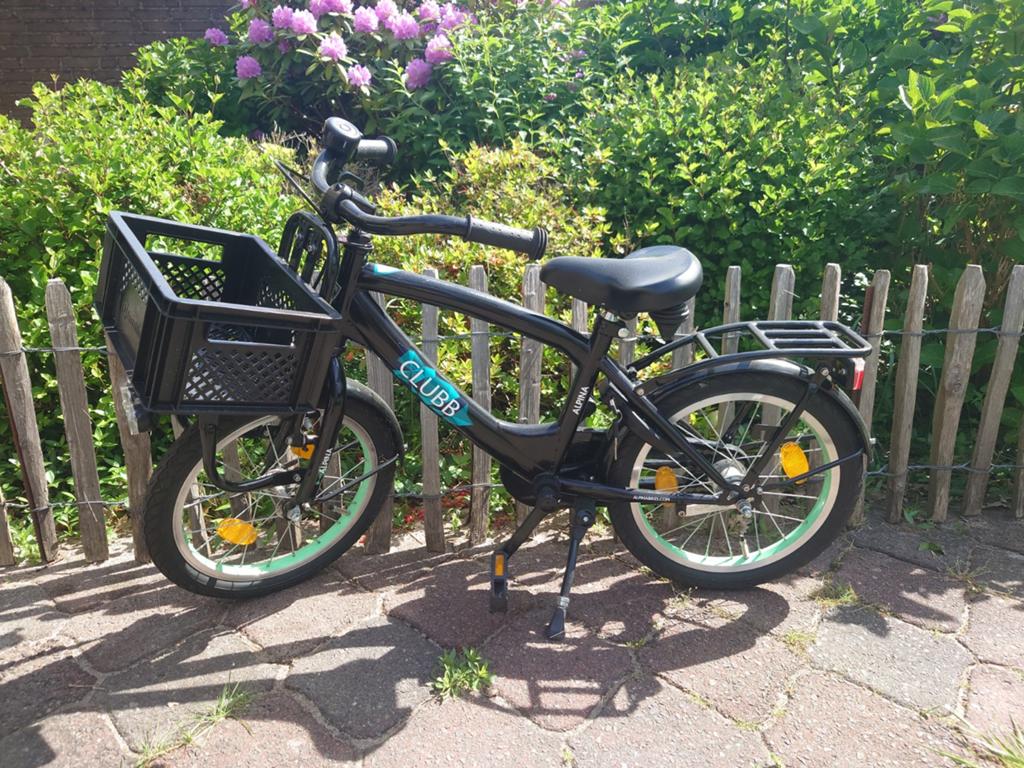 Alpina Club 16", Ophalen, Terugtraprem, 16 tot 20 inch, Alpina club