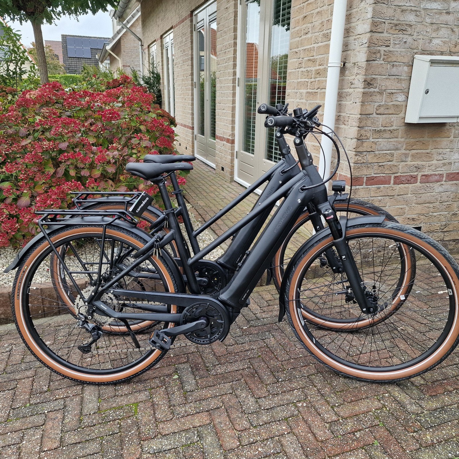 Inruil, 1 of 2(set) Pegasus Bosch CX middenmotor 750Wh, Fietsen en Brommers, Nieuw, 47 tot 51 cm, 50 km per accu of meer, Ophalen