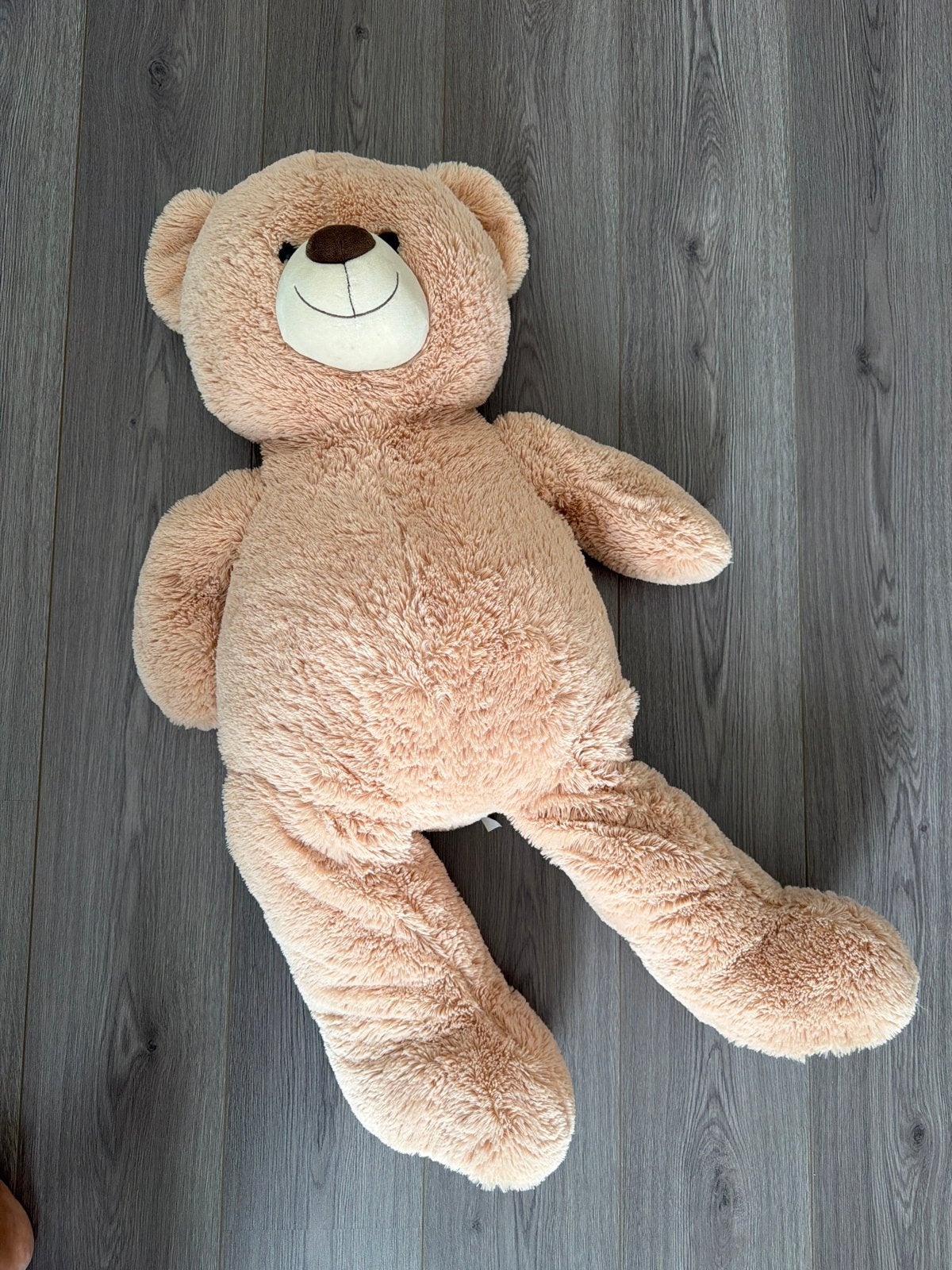 Grote zachte teddybeer, Ophalen, Beer, Zo goed als nieuw, Middelgroot (20 tot 80 cm)