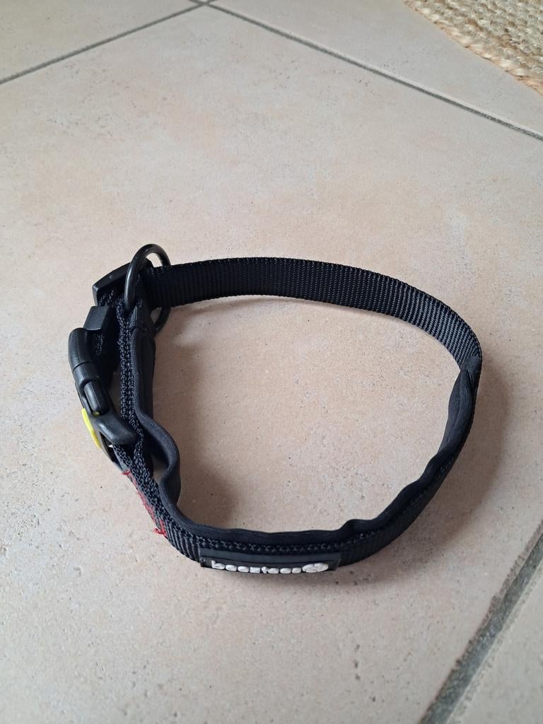 Beeztees honden halsband kort gebruikt, Ophalen of Verzenden, Zo goed als nieuw