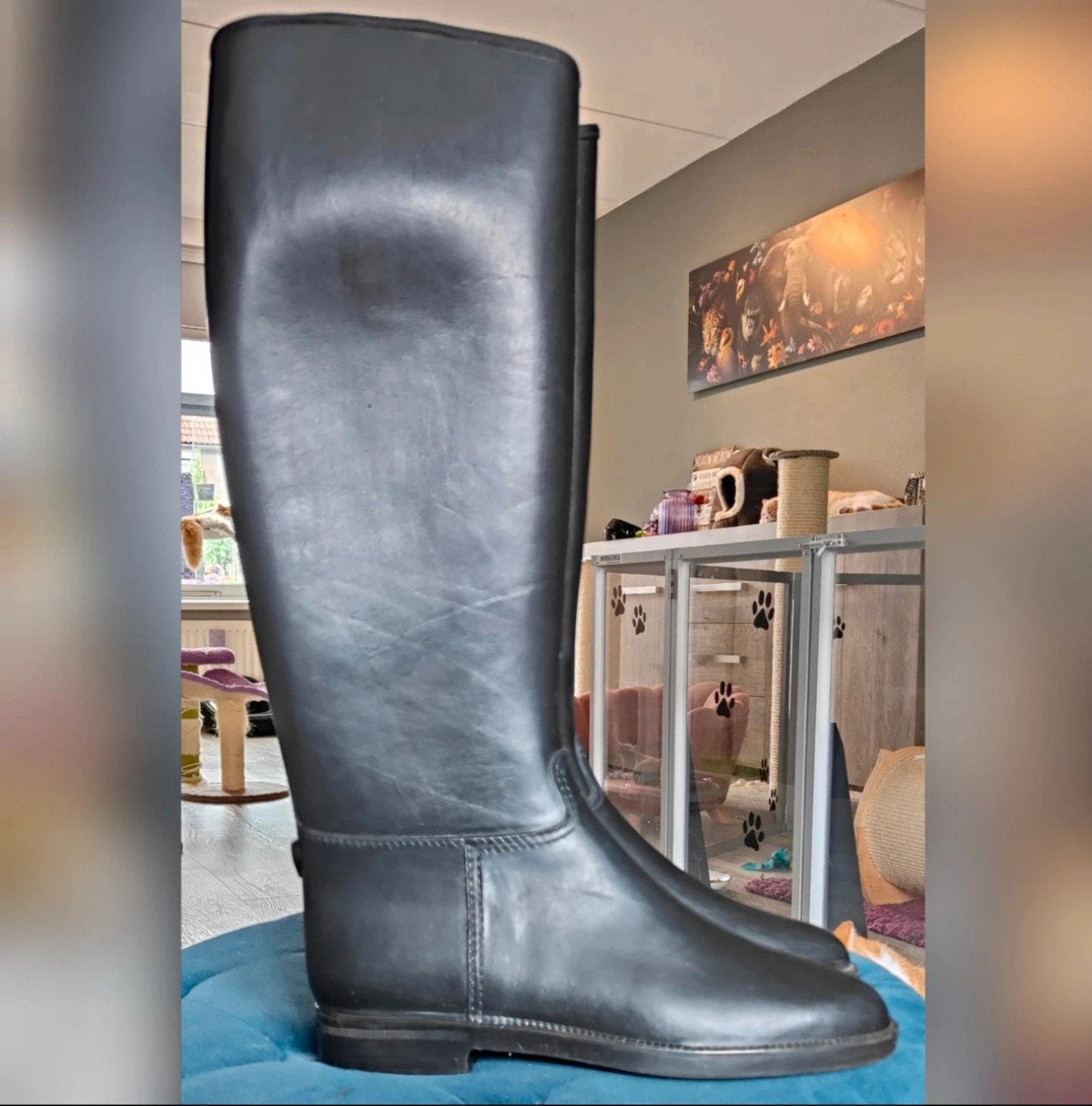 Zwarte Paardrijlaarzen, rijlaarzen Winner maat 36, Dieren en Toebehoren, Ophalen of Verzenden, Dressuur, Schoeisel