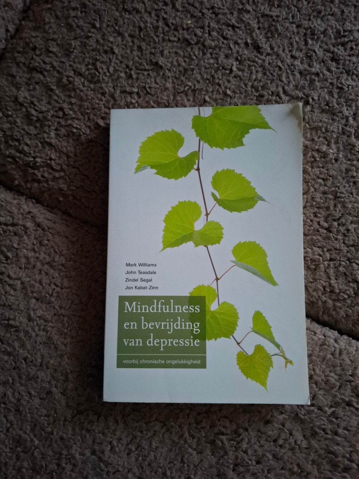 Mark Williams - Mindfulness en bevrijding van depressie, Boeken, Ophalen of Verzenden, Zo goed als nieuw, Mark Williams