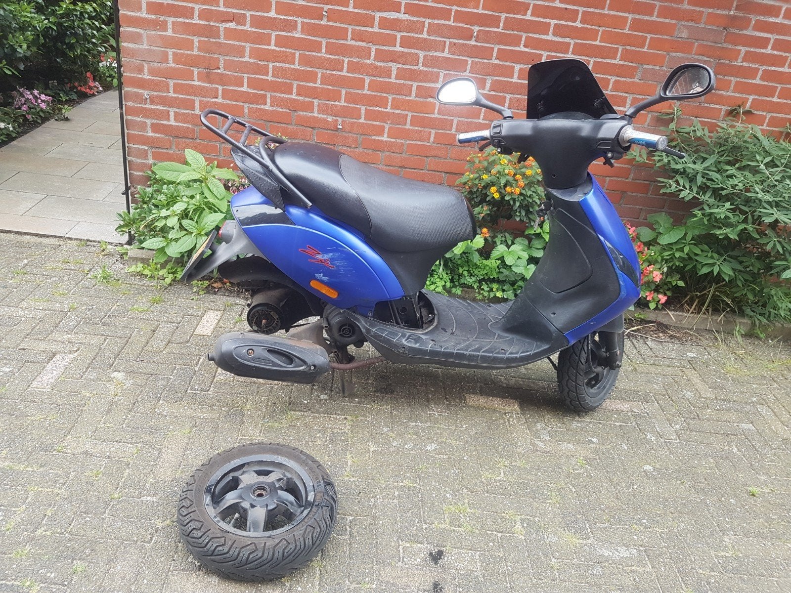 vespa piaggio zip la souris scooter berini, Ophalen of Verzenden