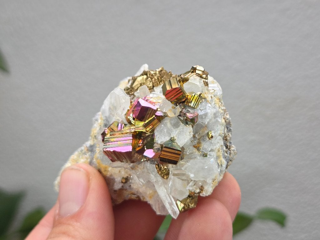 Regenboog Pyriet Indonesië, Ophalen of Verzenden, Mineraal