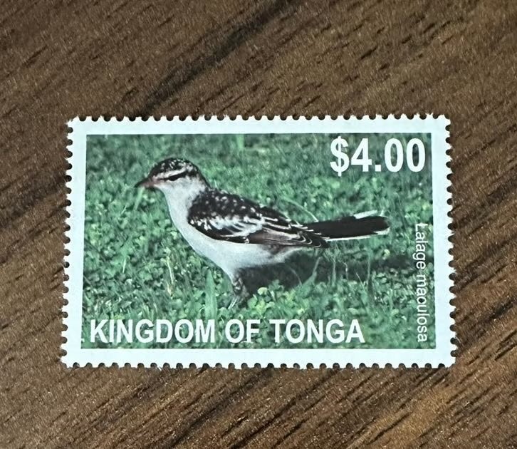 Tonga 2012 Vogels Postfris - Lalage maculosa, Ophalen of Verzenden, Postfris