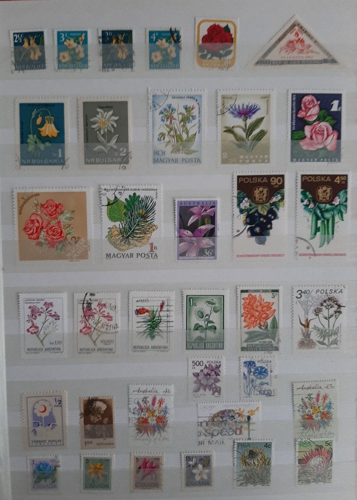 3 Kaarten Postzegels Bijzondere en Mooiste Bloemen No. 22, Ophalen, Dier of Natuur