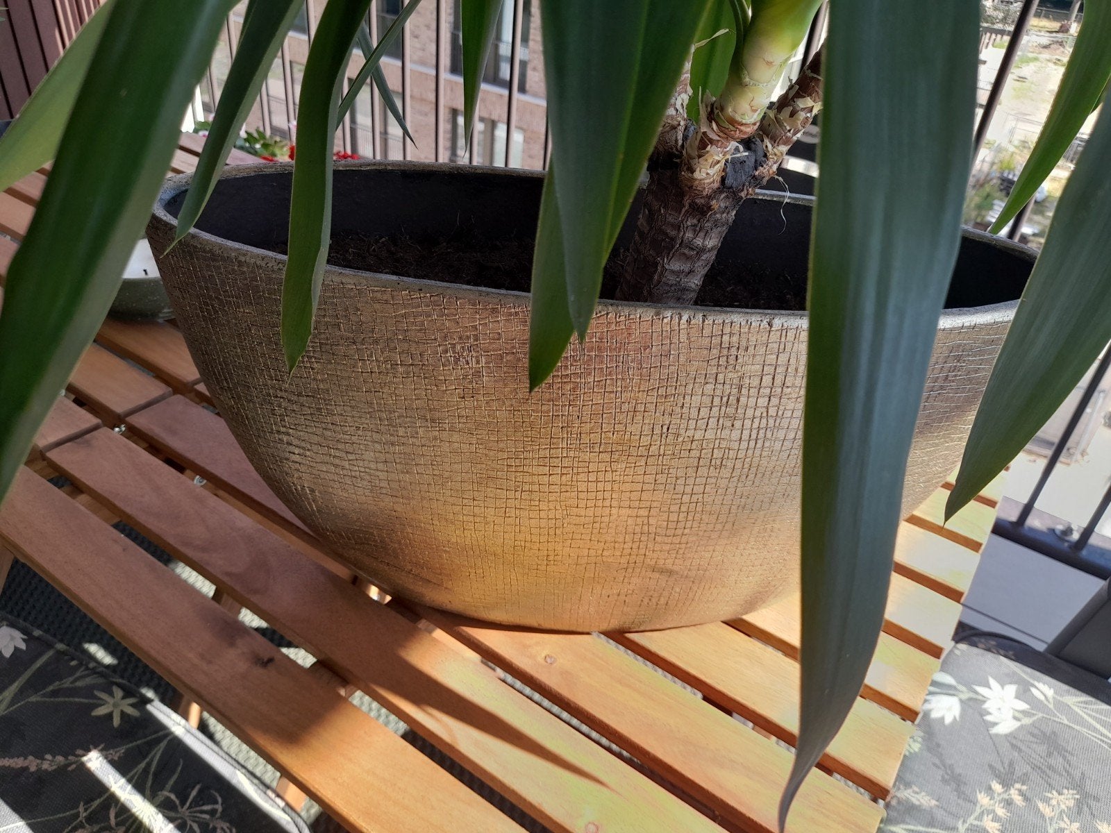 goudkleurige pot met yucca- 50x17x25 cm, Ophalen, Gebruikt, 25 cm, Natuurlijk materiaal