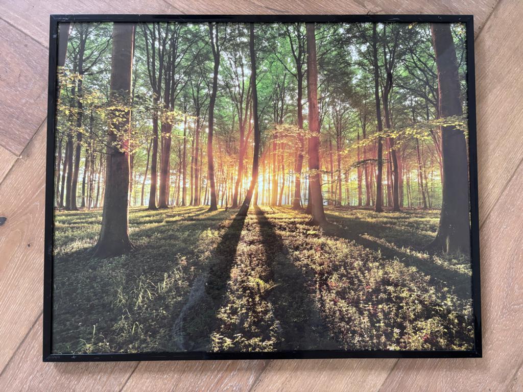 Fotolijst met bosprint - Sfeervolle wanddecoratie, Ophalen of Verzenden, Gebruikt, Overige materialen, Minder dan 50 cm