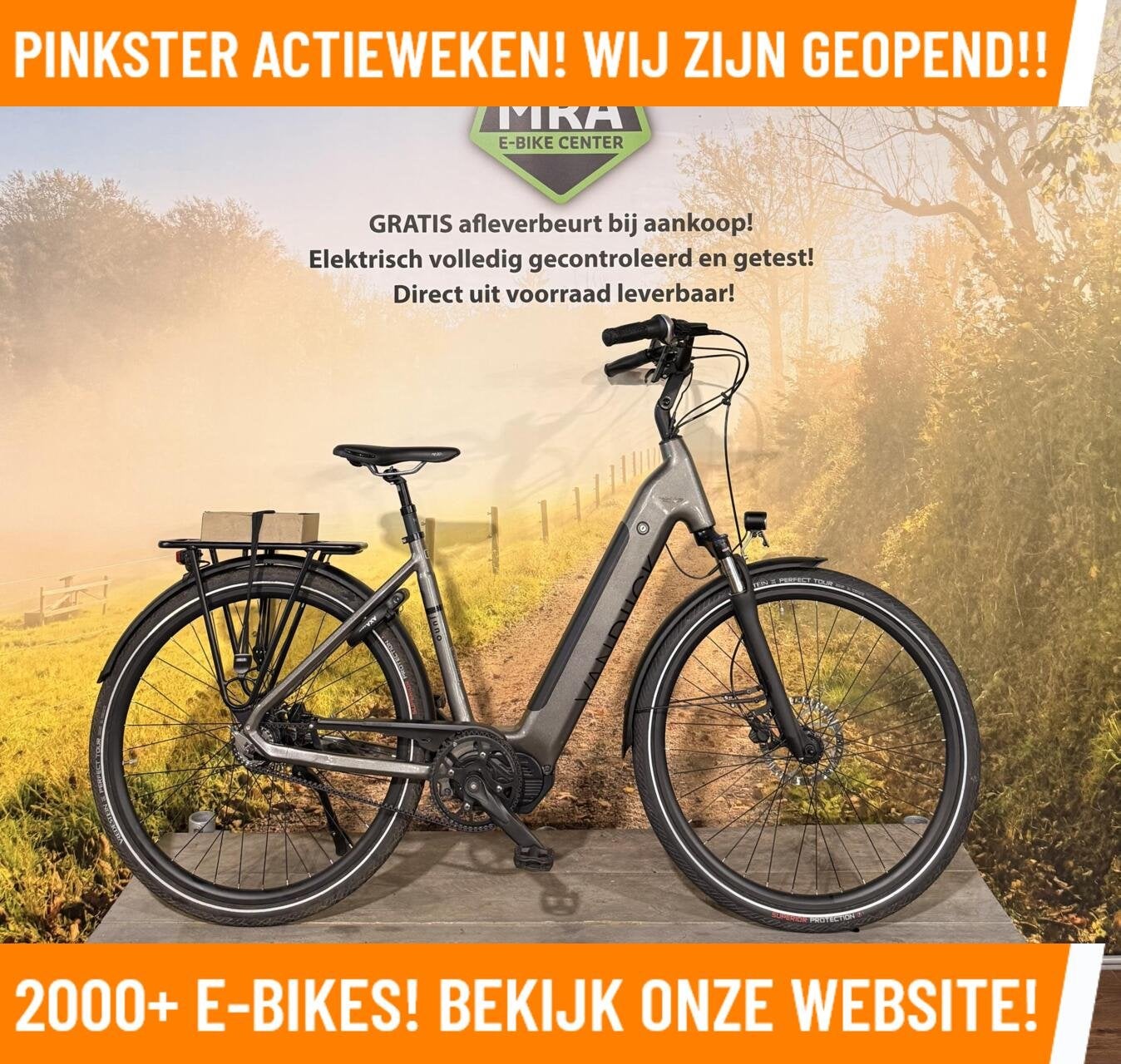 Van Dijck Juno Elektrische fiets met Kreutzer U5 motor ebike, 55 tot 59 cm, Overige merken