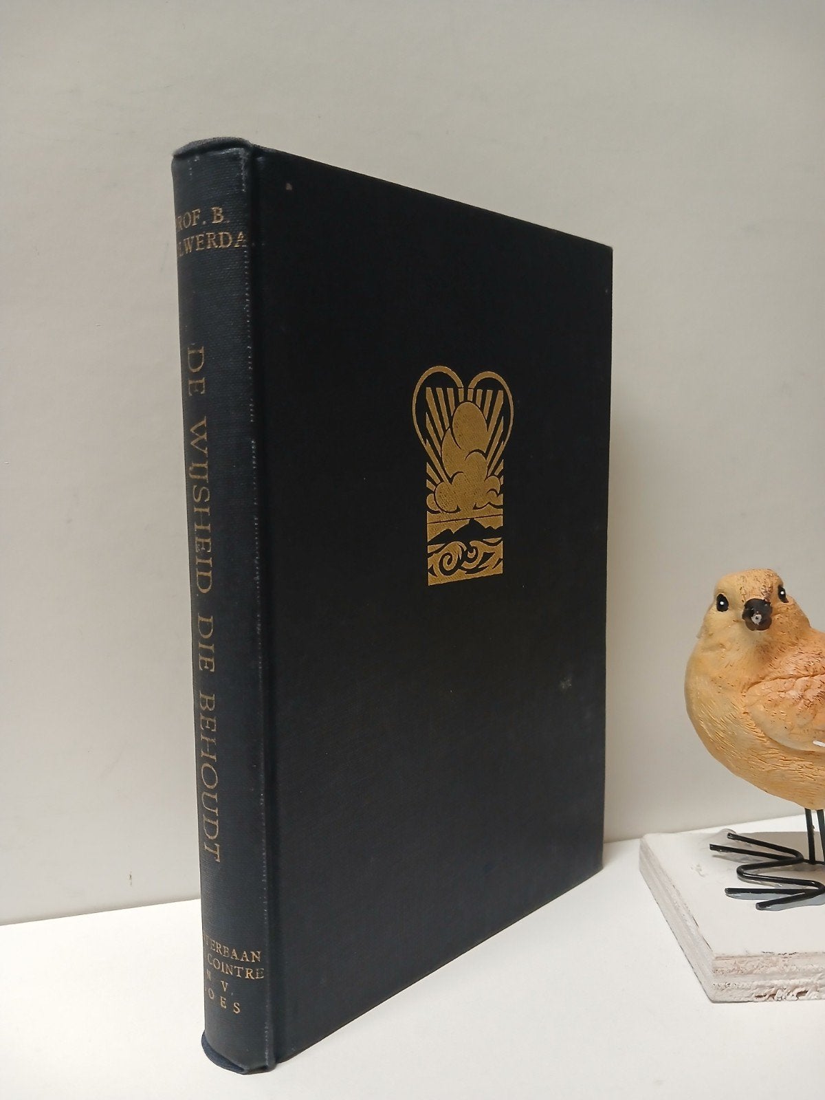 Holwerda, Prof. B.; De wijsheid die behoudt, Ophalen of Verzenden, Gelezen, Christendom | Protestants