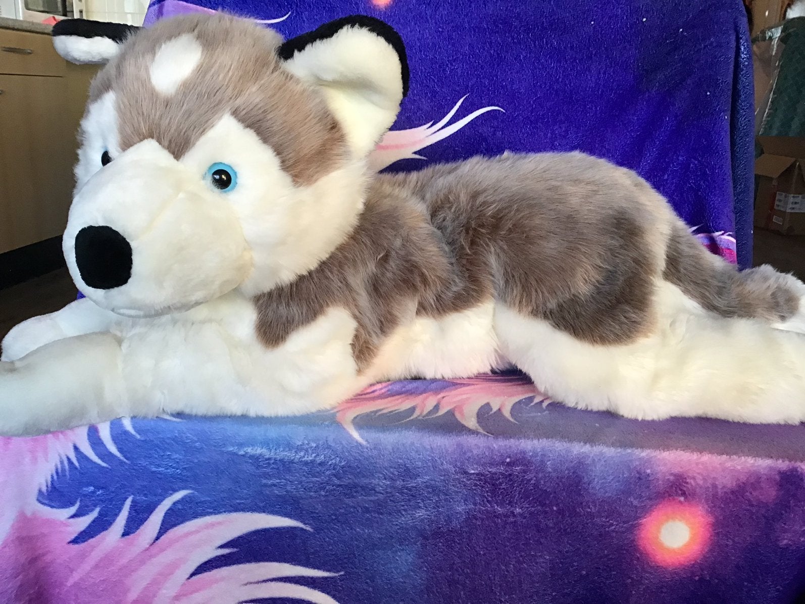 Bob der Bär Husky, Ophalen, Overige merken, Hond, Zo goed als nieuw