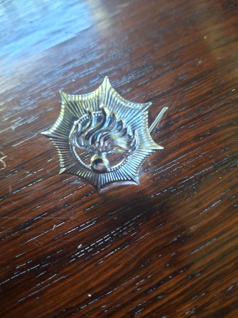 Klein embleem Rijkspolitie met buigpinnen, Ophalen of Verzenden, Overige soorten, Nederland, Embleem of Badge