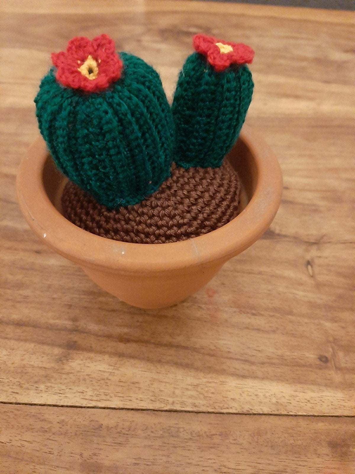gehaakte cactus, Ophalen of Verzenden, Nieuw, Haken, Overige typen