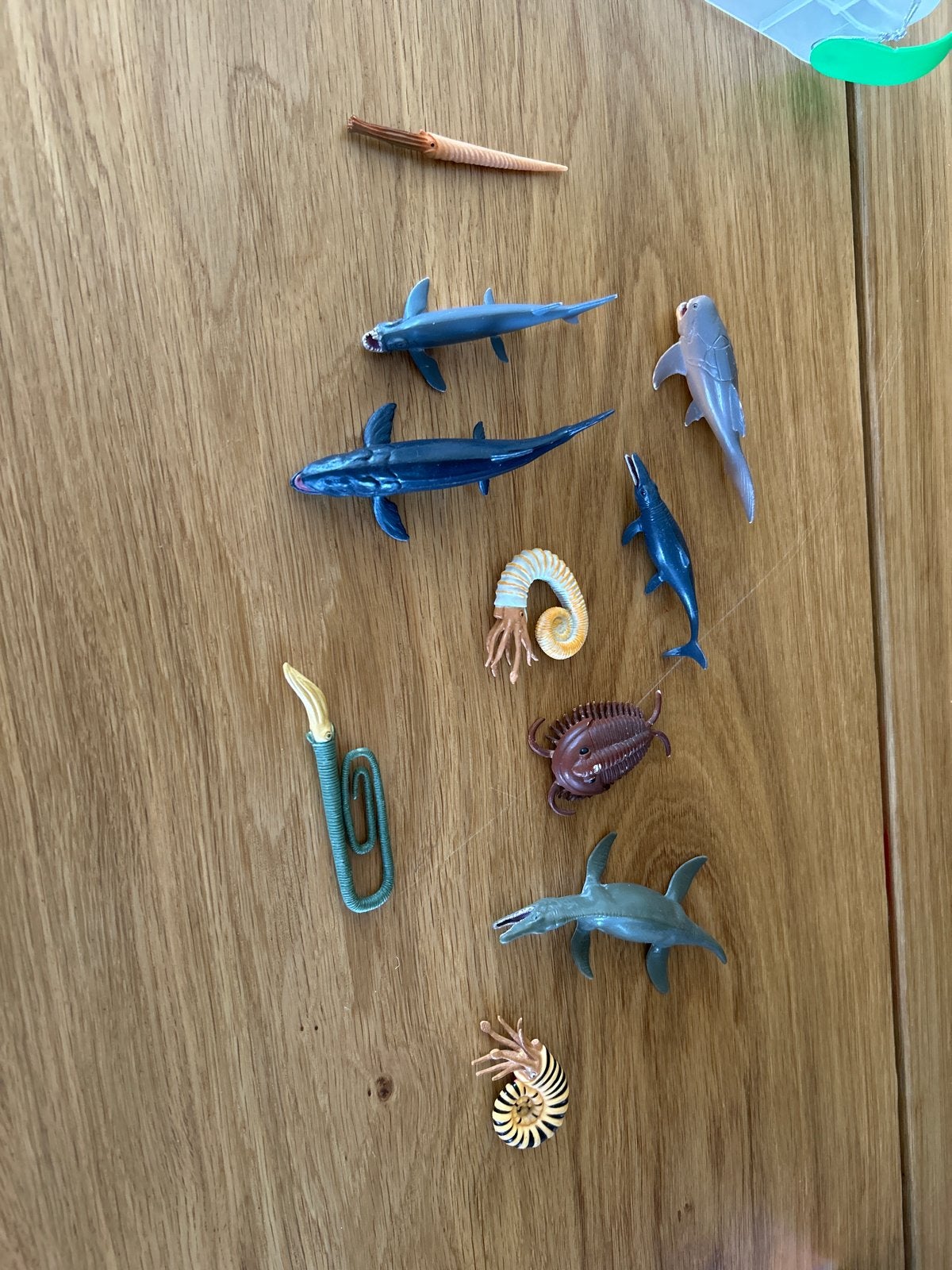 CollectA box of Mini Prehistoric Marine Animals, Ophalen of Verzenden, Gebruikt
