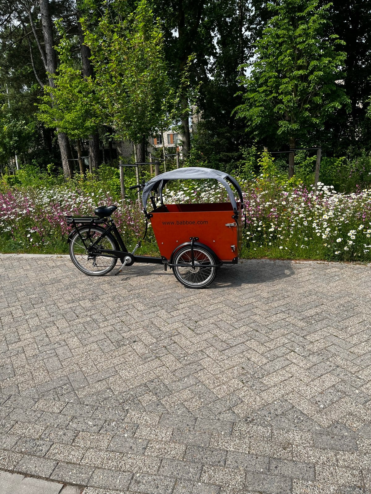 Babboe Dog Bakfiets - Elektrisch met tweedehands zon dak, Fietsen en Brommers, Fietsen | Bakfietsen, Gebruikt, Goederen, Elektrisch