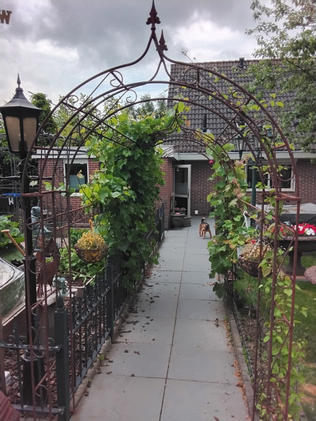 Grote smeedijzeren pergola / tuintunnel/rozenboog, Ophalen, Gebruikt
