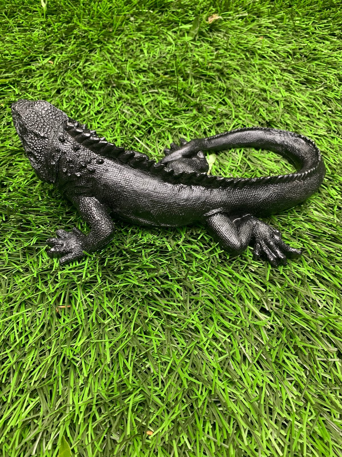Zwart polystone leguaan beeld, Ophalen