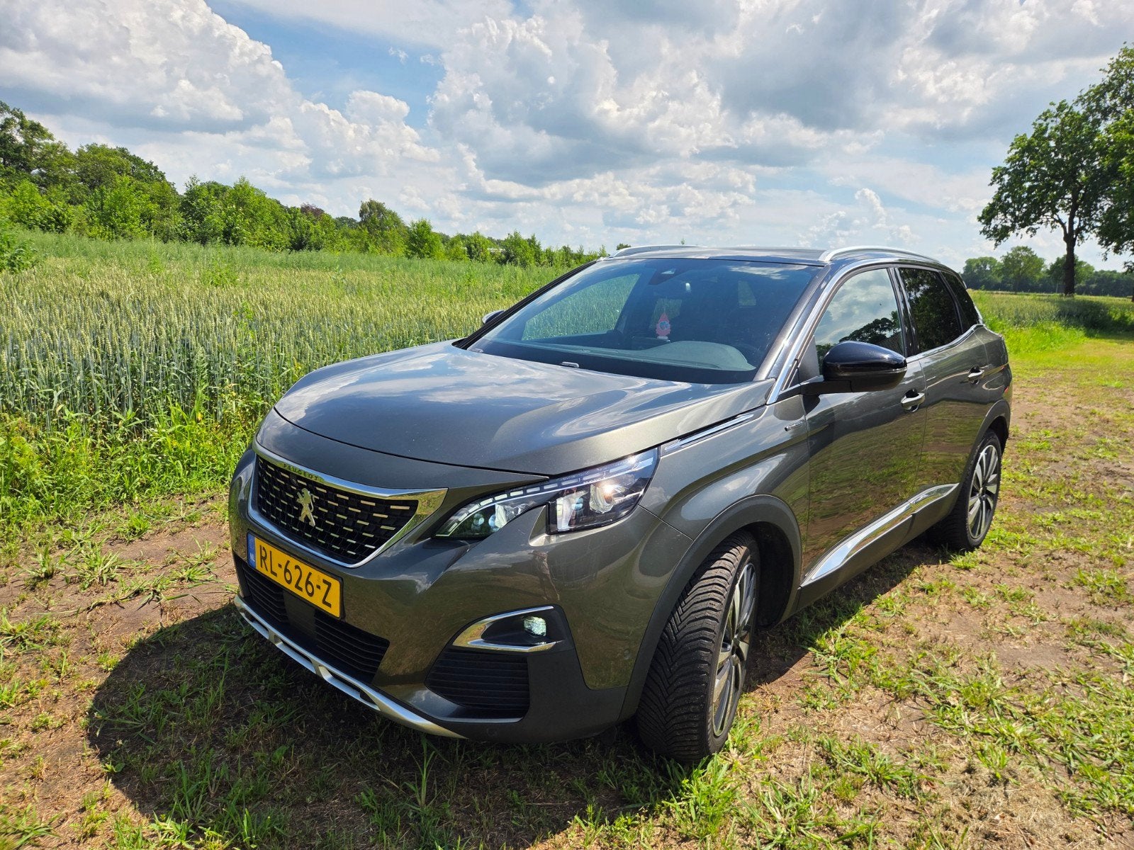 Peugeot 3008 1.6 Bluehdi 120pk 2018 Grijs, Voorwielaandrijving, 4 cilinders, Origineel Nederlands, Particulier