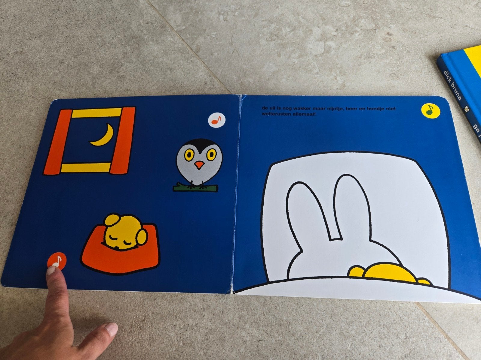 Nijntje boeken: Ga je mee met Nijntje? + Wat hoor je Nijntje, Gelezen, Ophalen of Verzenden, Dick Bruna, Uitklap-, Voel- of Ontdekboek