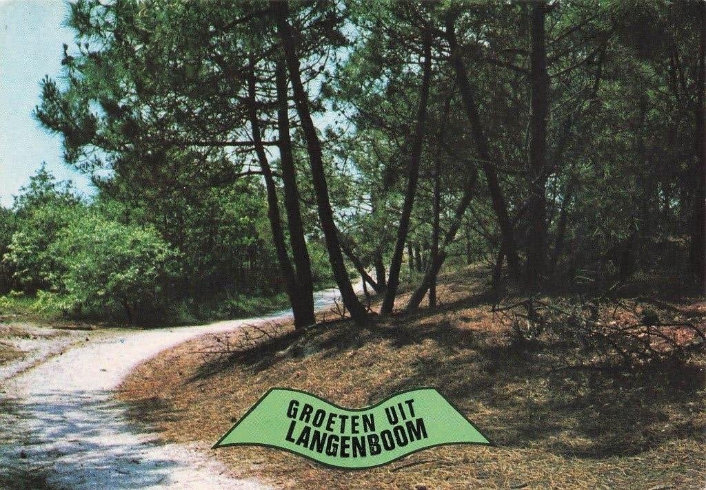 Groeten uit Langenboom, Ophalen of Verzenden, 1980 tot heden, Gelopen, Noord-Brabant