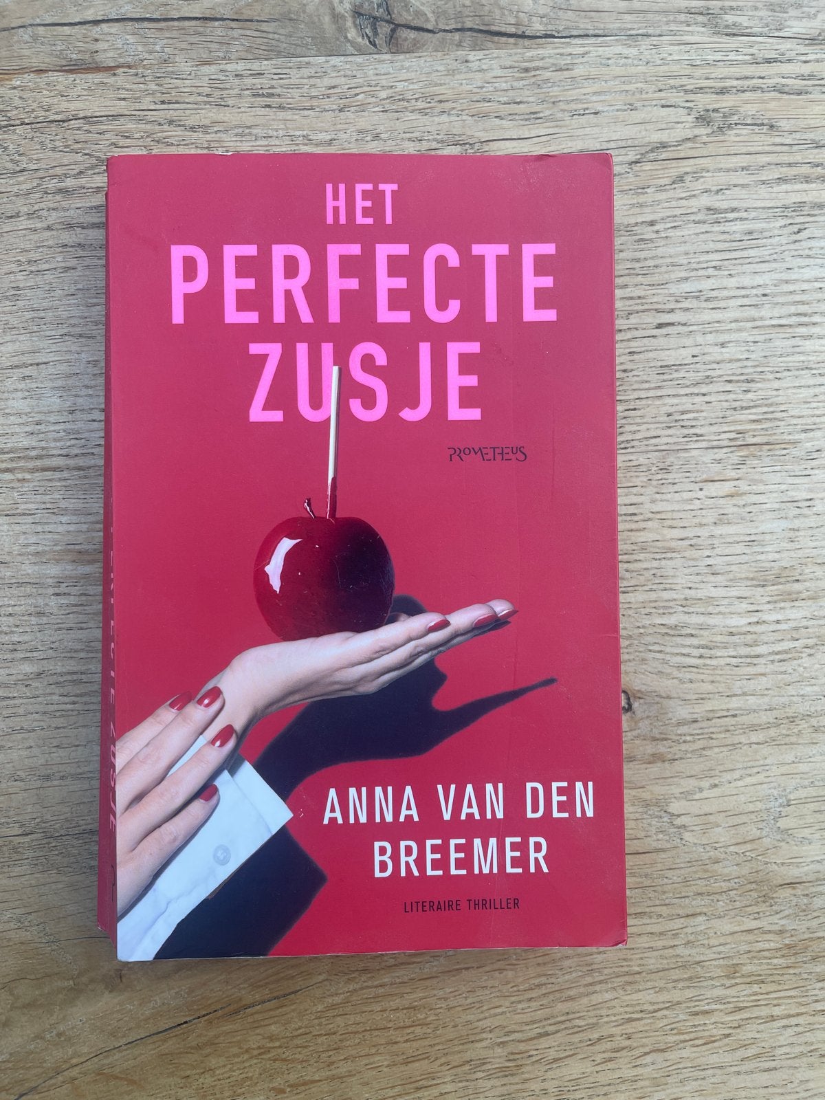 Het Perfecte Zusje - Anna van den Breemer (Literaire Thrille, Ophalen of Verzenden, Zo goed als nieuw, Nederland