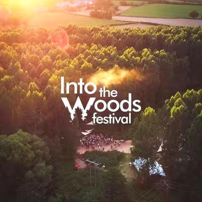 2x Tickets into the woods zaterdag 19 sept, Tickets en Kaartjes, Evenementen en Festivals, Twee personen