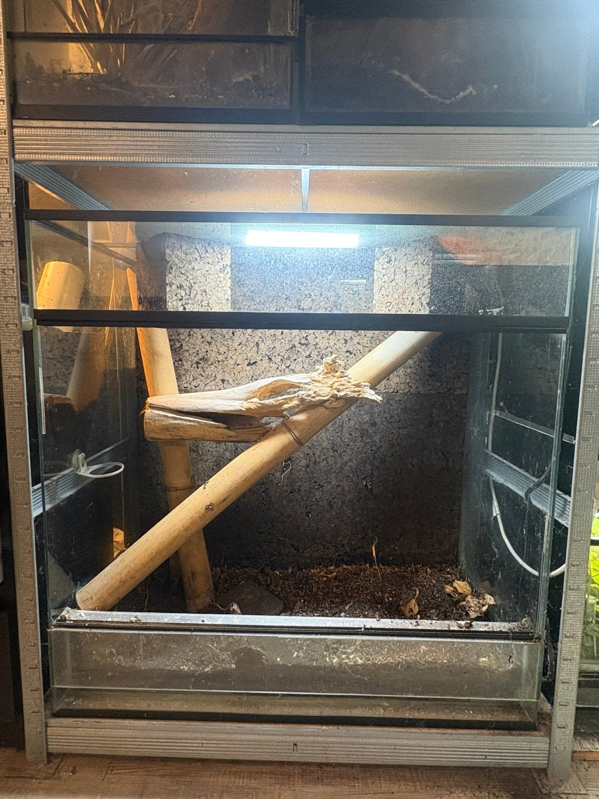 Paludarium 80X40X80, Dieren en Toebehoren, Ophalen, Zo goed als nieuw, Terrarium of Paludarium
