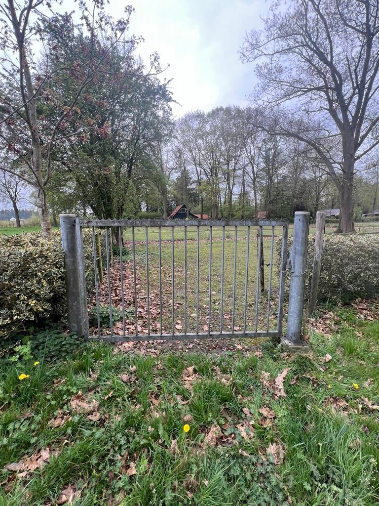 Robuust ijzeren hekwerk met poort, Tuin en Terras, Tuinhekken en Hekwerk, Ophalen, Met poort, Gebruikt, Spijlenhekwerk