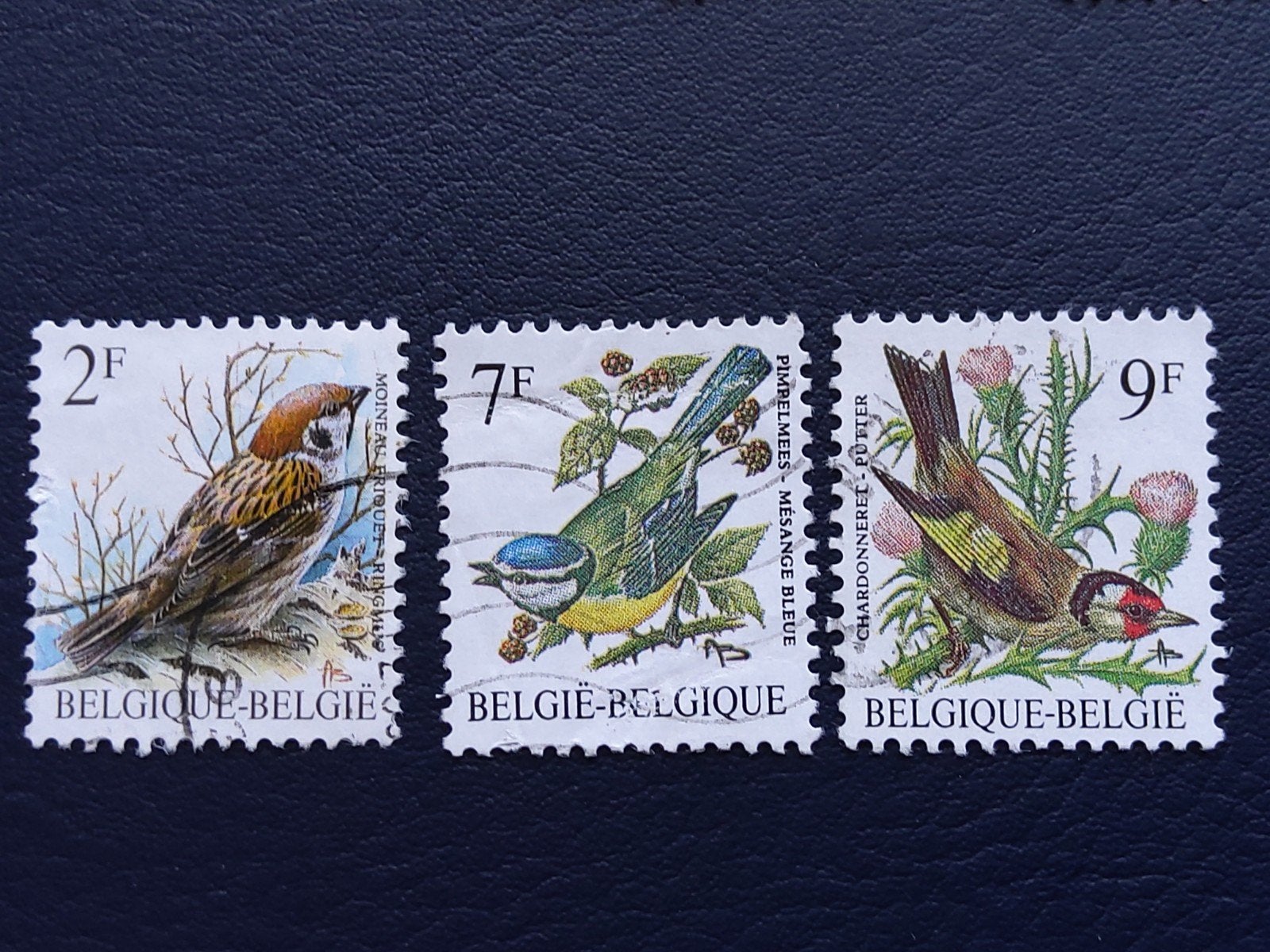België Postzegels - Vogels (Mussen, Mezen, Putter), Ophalen of Verzenden