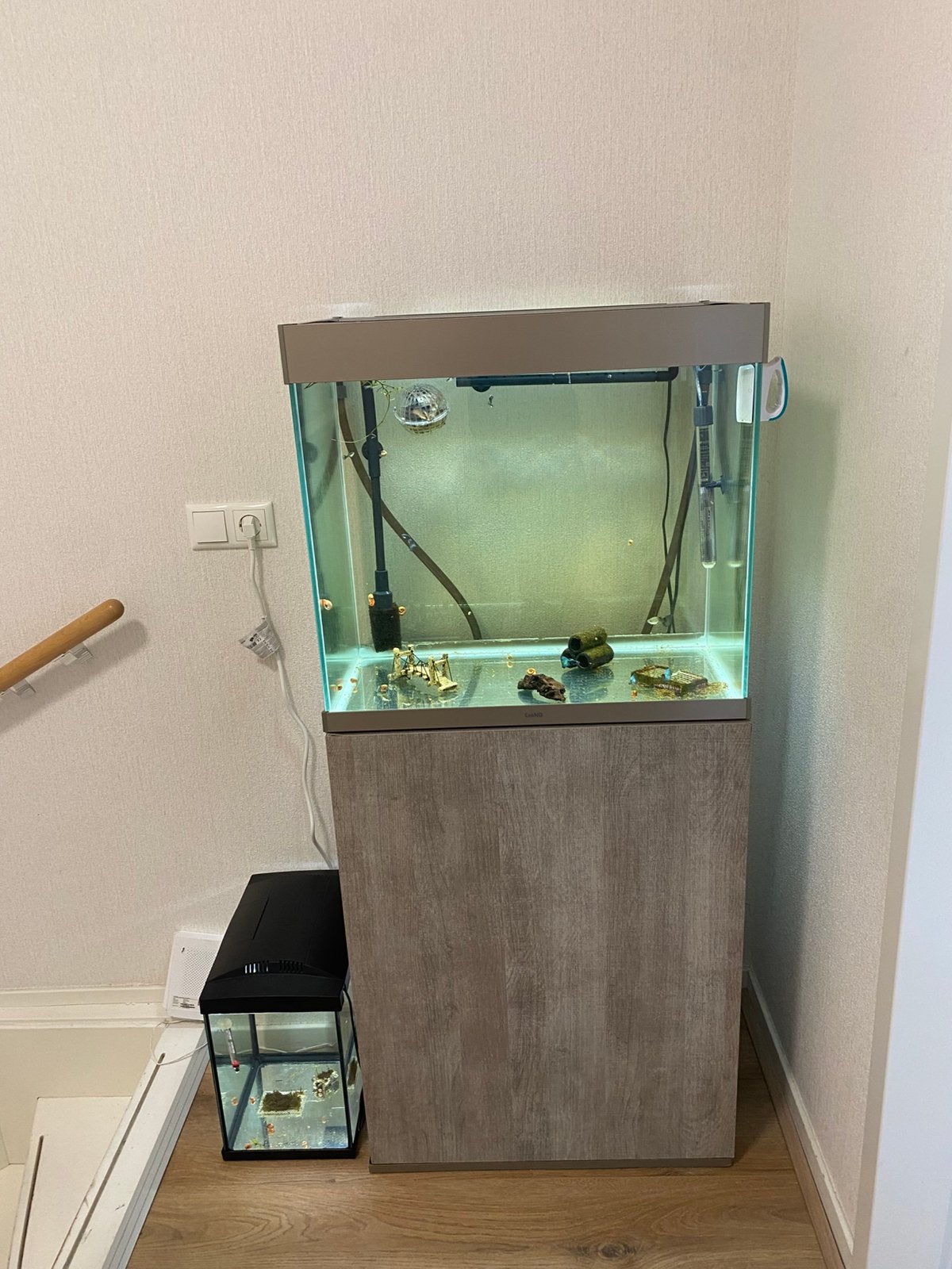 Ciano 108L aquarium met Blue Moscow guppy’s, Ophalen, Zo goed als nieuw, Gevuld zoetwateraquarium