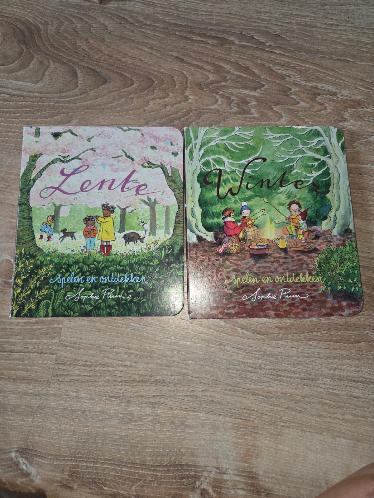 Boek Winter en Lente van Sophie Pluim, Boeken, Ophalen