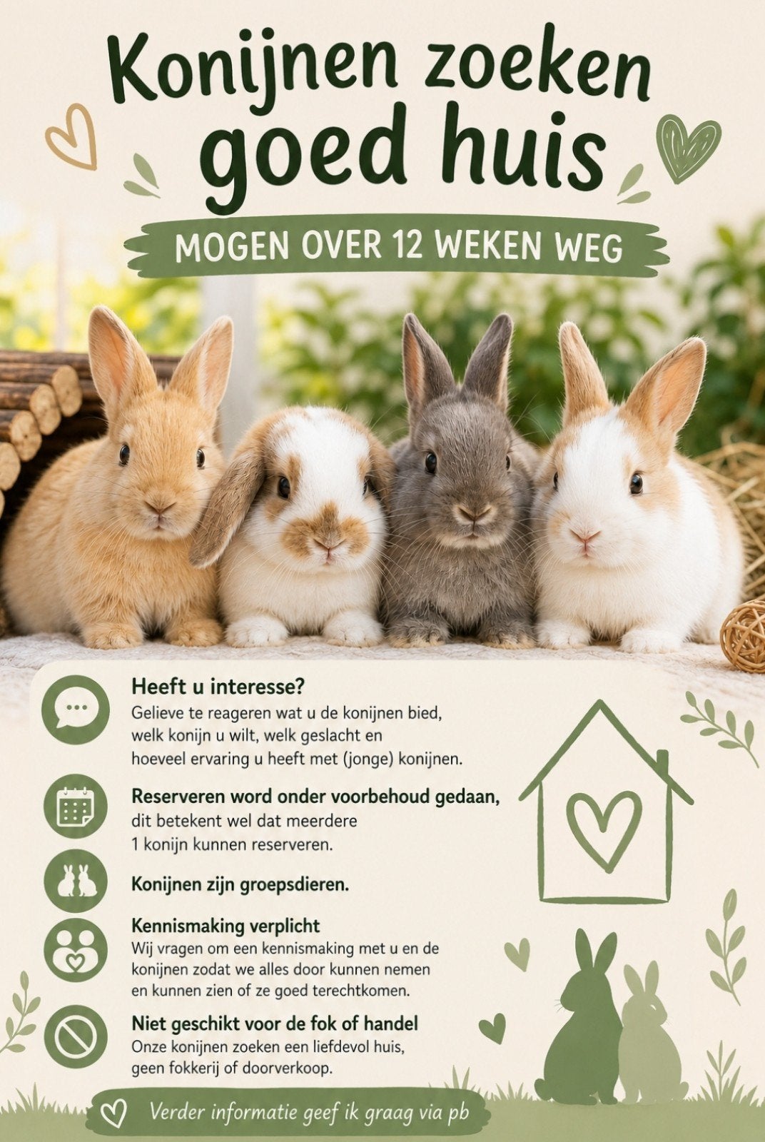 Babykonijntjes, Geslacht onbekend, Middelgroot, 0 tot 2 jaar