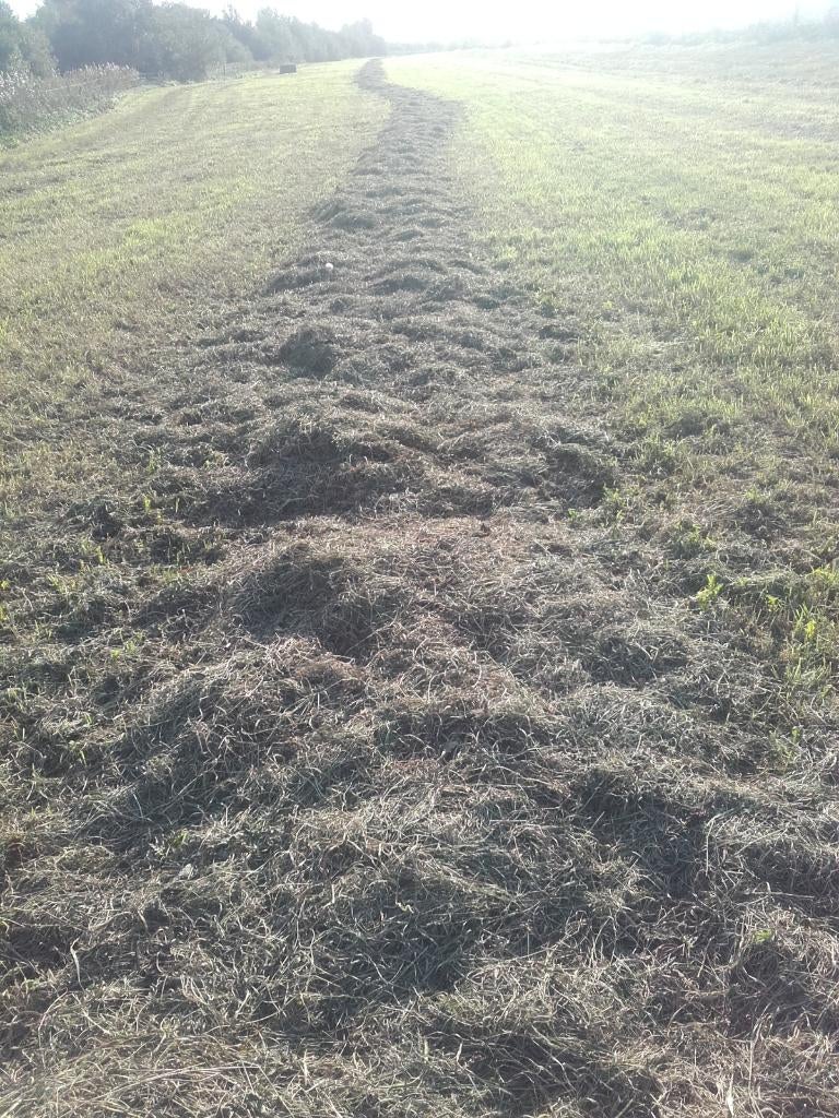 kuilbalen balen gras op stam mest, Dieren en Toebehoren, Ophalen of Verzenden, Vee