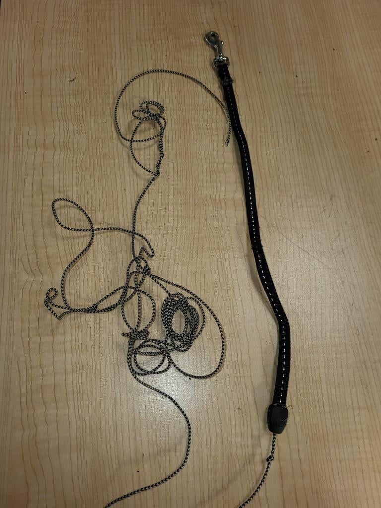 hondenketting hondenriem, Ophalen of Verzenden, Nieuw