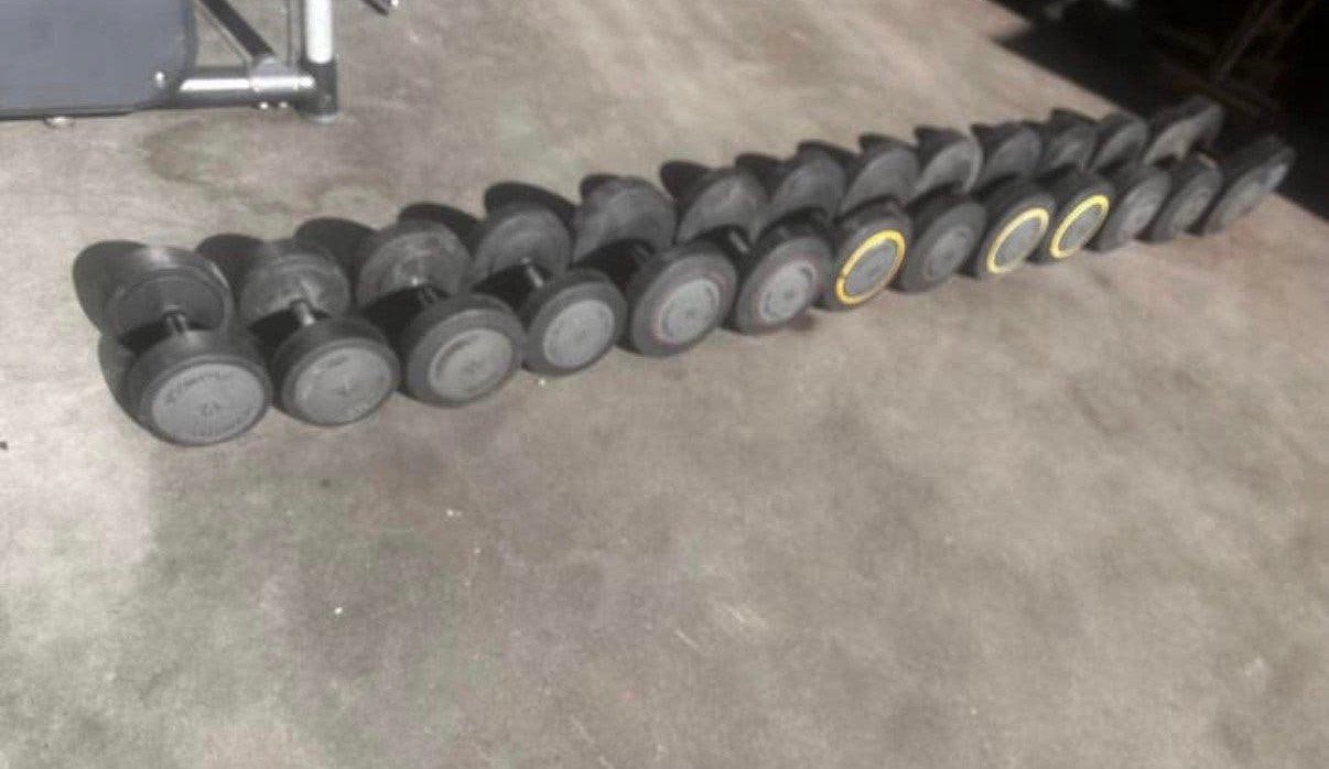 Technogym Dumbells 12kg t/m 40kg, Ophalen, Gebruikt, Dumbbell