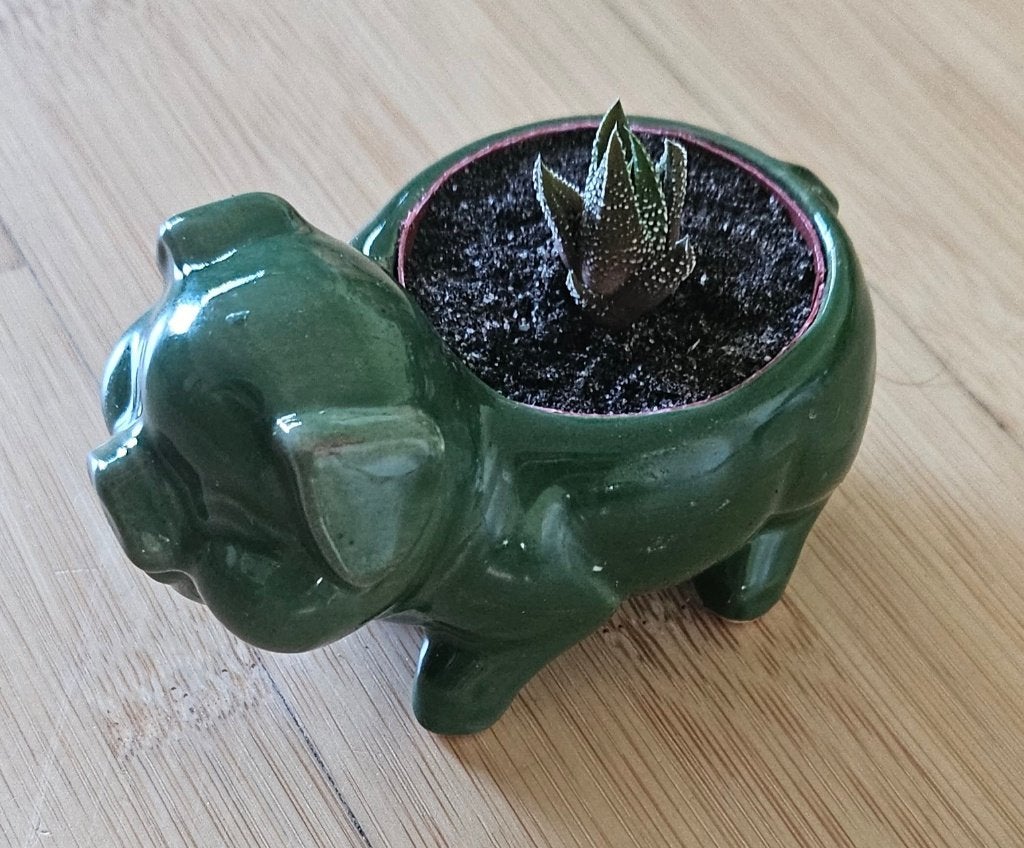 Klein groen varken voor plantje of waxinelichtje, Ophalen of Verzenden, Zo goed als nieuw, Groen, Steen/keramiek